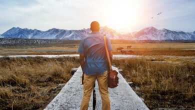 Embracing Life’s Journey: Living, Evolving, and Confronting Temptation