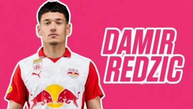 Damir Redzic