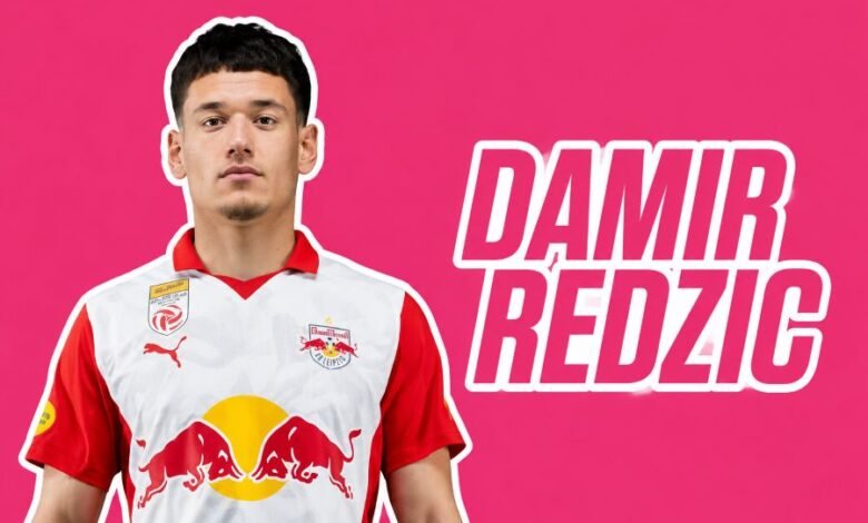 Damir Redzic